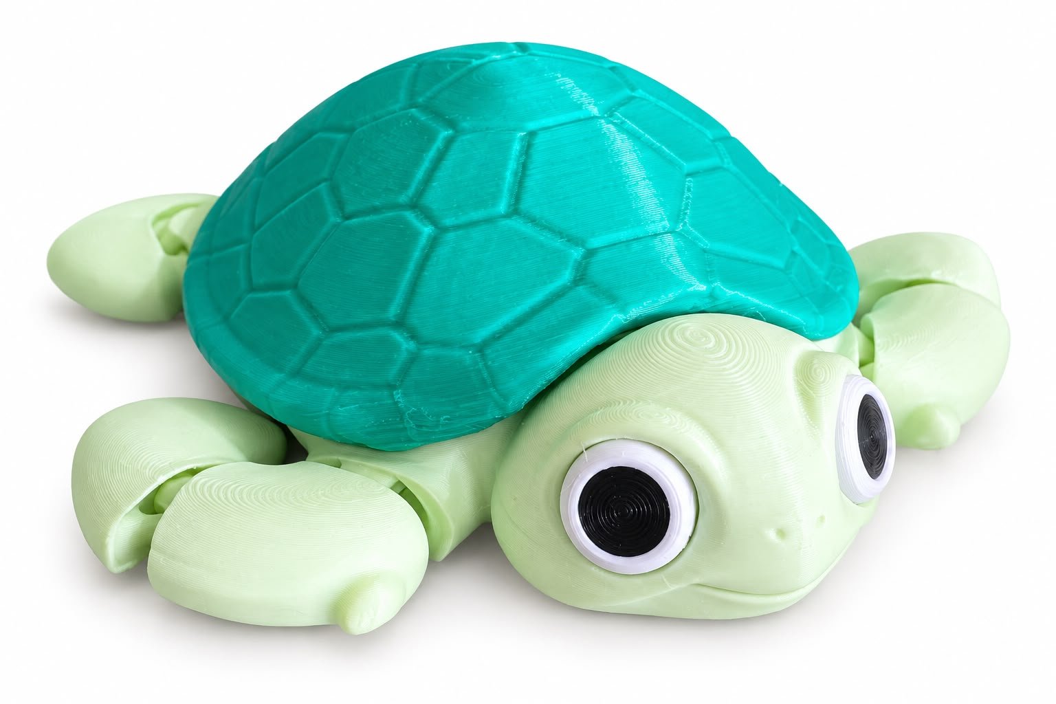 Tartaruga Articulada